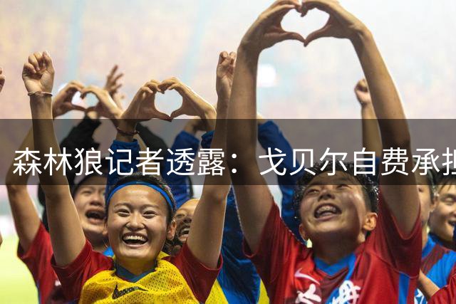 森林狼记者透露：戈贝尔自费承担球队巴黎之行所有开销